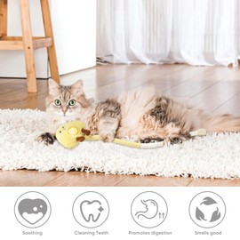 ROLUFY Sisal Rope Cat Toys, 2Pack Bite-Resistant Catnip Toys,Cat Toys for Bored Indoor Cats, Safe Teeth Cleaning Chew Cat Toy,Interactive Cat Kicker Toys for Indoor Cats, Kitten Toys 20" All Breeds