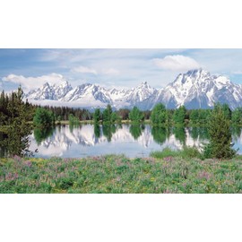 Biggies- Window Well Scenes Wall Art- Mountain Flower, 60" x 120"