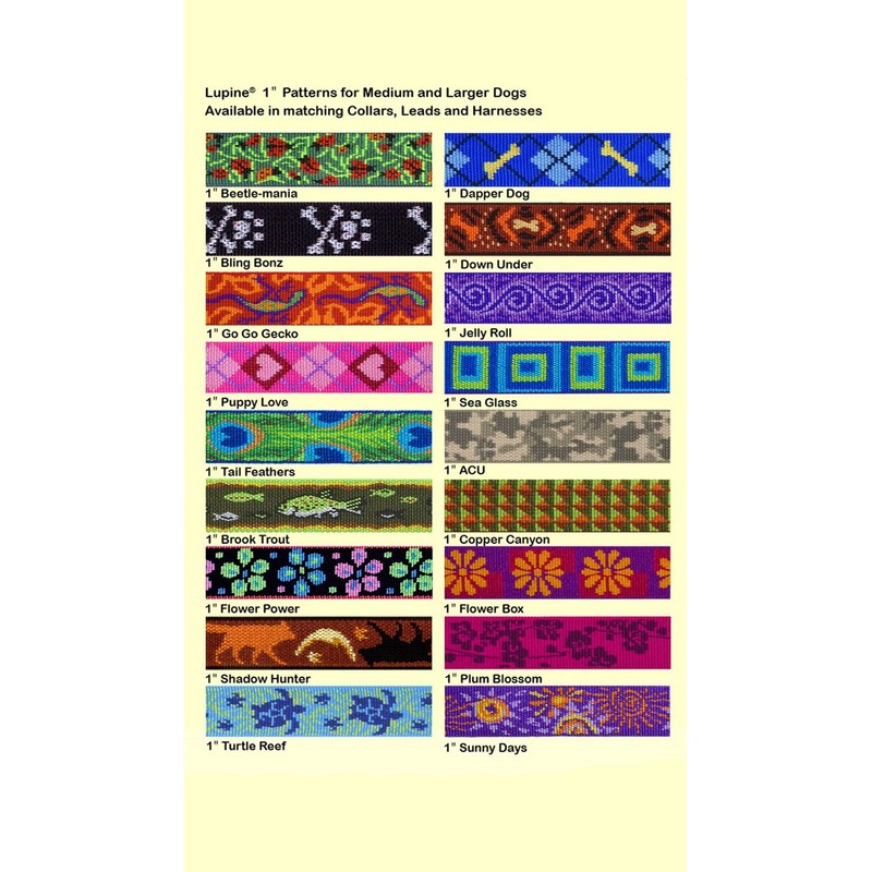 LupinePet Originals 1" Bling Bonz 15-22" Martingale Collar for Medium