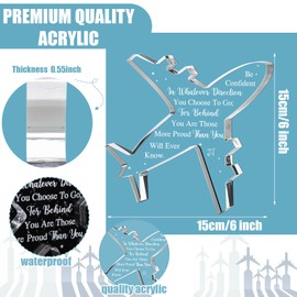 RattanView Acrylic Inspirational Gifts for Motivational Desk Office Decoration Christmas Gifts for Friends Birthday Gift Encouragement Gift for Home Living Room Acrylic Gift(Pilot Gifts)