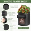 Cskunxia 6 Pack 5 Gallon Non-Woven Fabric Plant Grow Bag