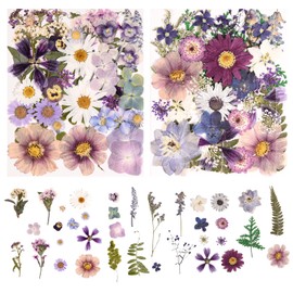 Nisetten 80PCS Natural Color Pressed Dried Flowers Dry Leaves with Tweezers - Real Pressed Flowers for DIY Crafts, Resin Jewelry, Cards, Soap, CandleMaking, Nail Art, and Scrapbooking (Natural Color)