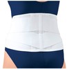 Alcare Sacro Active DX 13445 Waist Fixed Belt with Auxiliary