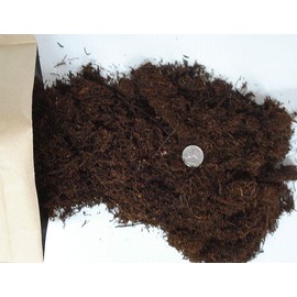 Fern Wood New Zealand Tree Fern Soft Orchid Substrate 1 Gallon Bag