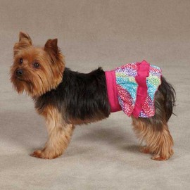 East Side Collection ZM3555 10 81 Confetti Ruffle Skirt for Dogs, X-Small, Raspberry