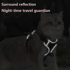 Cat Chest Harness and Leash Set for Walking Escape Proof, Soft Adjustable Vest Harnesses for Cats, Kitten Jacket with Reflective Strip, Easy to Put on with 3 Buckles for Traveling (Blue, L)