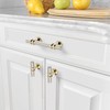Amerdeco 10 Pack Brushed Satin Nickel and Gold Cabinet Pulls