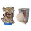 Foragers Table Gourmet Mushroom Growing Kit Bundle Containing Lion's Mane