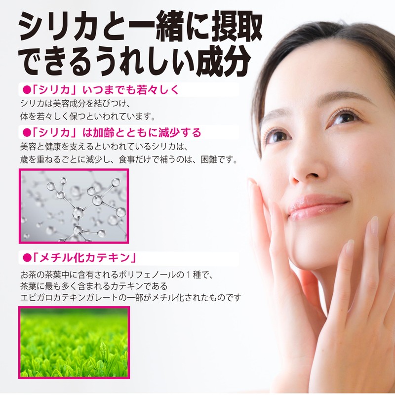 元気になるシリカ ＋ メチル化カテキン カプセル50粒入