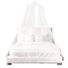 BUHUA Mosquito Net Bed Canopy, King Canopy Bed Curtains Queen