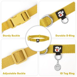 azuza Nylon Fall Dog Collar and Leash Set, Strong & Durable Basic Style Leash with Easy to Use Collar Hook, Available in Multiple Lengths for Puppy and Small Dogs, Ginger Yellow,XS