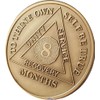 RecoveryChip Engravable 8 Month AA Medallion Large 1.5" Heavy Premium