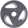 CAP Barbell placa de agarre estándar de 1 pulgada, individual,