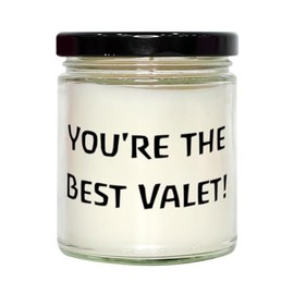 Perfect Valet Gifts, You're The Best Valet!, Valet Scent Candle from Team Leader, for Coworkers, Funny Valet Gifts for Men, Funny Valet Gifts for Women, Funny car Accessories, Gag Gifts for car
