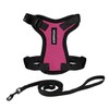 Voyager Step-in Lock Adjustable Cat Harness w. Cat Leash Combo