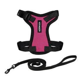Voyager Step-in Lock Adjustable Cat Harness w. Cat Leash Combo Set with Neoprene Handle 5ft - Supports Small, Medium and Large Breed Cats by Best Pet Supplies - Fuchsia/Black Trim, XXXS