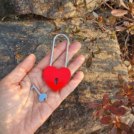 Large Heart Long Shackle Padlock Padlock