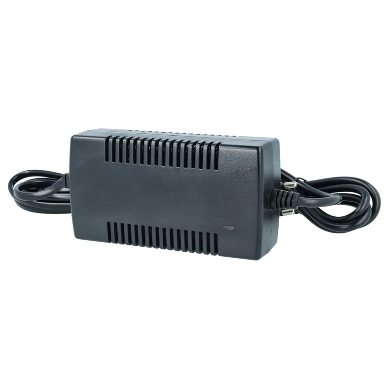 vhbw MAINS CHARGER/POWER CABLE (42V) 2A for various Hoverboards, Electro