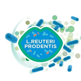 GUM GUM PerioBalance Lutschtabletten/Nahrungserg?nzungsmittel fr das Zahnfleisch/Enth?lt das patentierte Bakterium Limosilactobacillus reuteri Prodentis/angenehmer Minzgeschmack /2x30 (+1 Gratisprobe)
