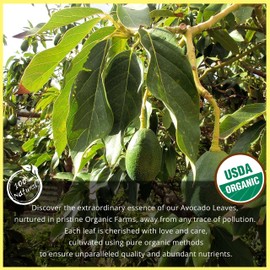 Akshit Lemongrass Tea Loose Leaf Bulk – 2.6 oz, Organic Lemongrass Tea, Lemongrass Tea, Loose Tea, Dried Lemongrass Leaves, Caffeine Free, Non-GMO.