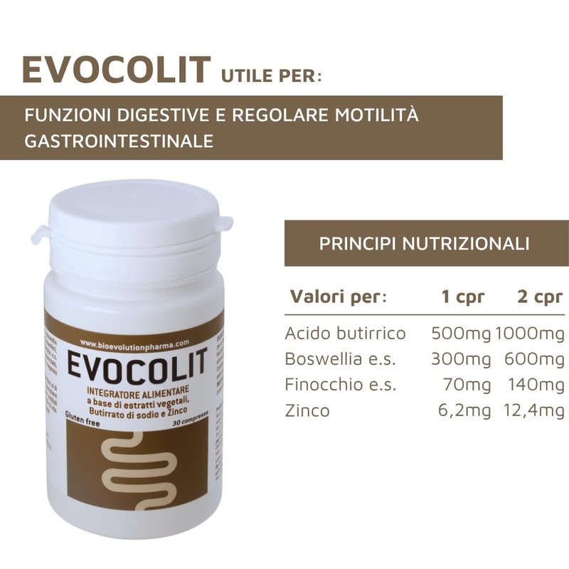 EVOCOLIT - Dietary Supplement for Digestive Functions, for Regular Intestinal