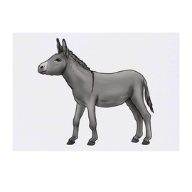 'Donkey' Temporary Tattoo - Water Resistant, Skin-Safe, Non-Toxic Transfer (TO00045344)