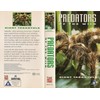 Predators of the Wild - Giant Tarantula