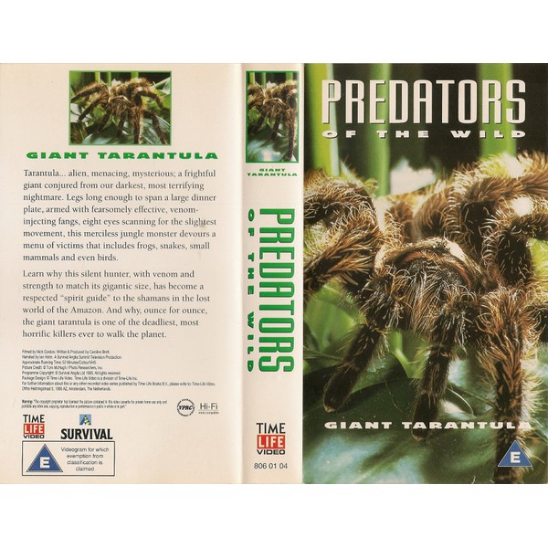 Predators of the Wild - Giant Tarantula