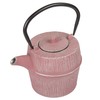 Creative Home Kyusu Cast Iron Pot Tea Kettle with Removable