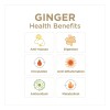 The Ginger People Rescue Tabletas Paquete