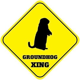 WAGSUO Groundhog Crossing Signs Square Funny Metal Signs for Home Decor Kids Room Gate Yard Sign Novelty Gifts 8"x8"