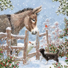 Museums & Galleries Charity Christmas Cards - Country Companions Donkey, Puppy and Lamb - Eco-Friendly and Recyclable - Pack of 8 Cards