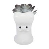Gemseek Cute Hippo Succulent Planter Pot with Bamboo Drainage Tray,