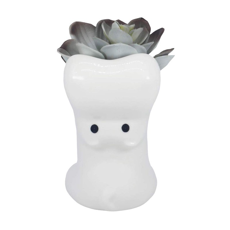 Gemseek Cute Hippo Succulent Planter Pot with Bamboo Drainage Tray,