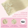 Pinkpearl Clip in Hair Extensions #60 Platinum Blonde Clip in