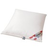 betten-traum-land Canada Extra Soft 100% Canadian Half White Down Pillow