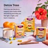 Yogi Herbal DeTox Variety Pack (3 Pack) Healthy Cleansing Formula