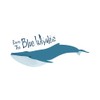 CafePress Save The Blue Whales 10"x3" Rectangle Vinyl Bumper Sticker