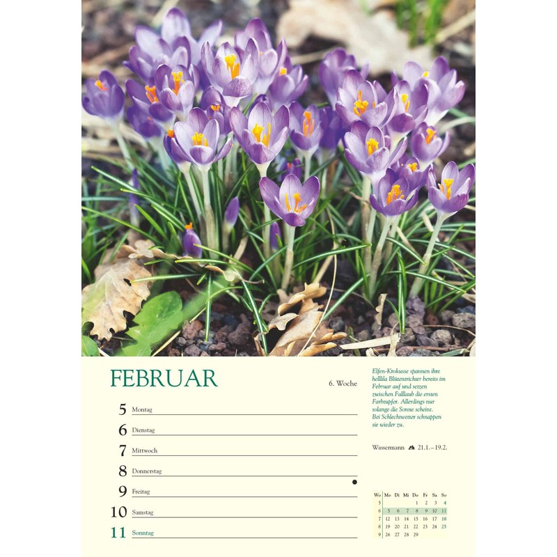 WK 2024 A Year in My Garden: With Many Useful