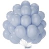PartyWoo Dusty Blue Balloons 50 pcs 12 Inch Light Grey