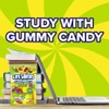 Life Savers Sours Gummies Candy Bag, 7 ounce (Pack of