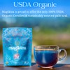 Magiktea, Palo Azul, 15 Plant-Based Tea Bags, USDA Organic, Kidneywood,