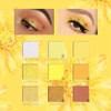 9 Colors Waterproof Matte Glitter Eye Shadow Palettes Makeup Cosmetics