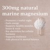 Higher Nature Atlantic Marine Magnesium Supplement 300mg - Natural Source