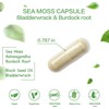 Organic Sea Moss Capsules with BladderwrackBurdock Root and Black Pepper