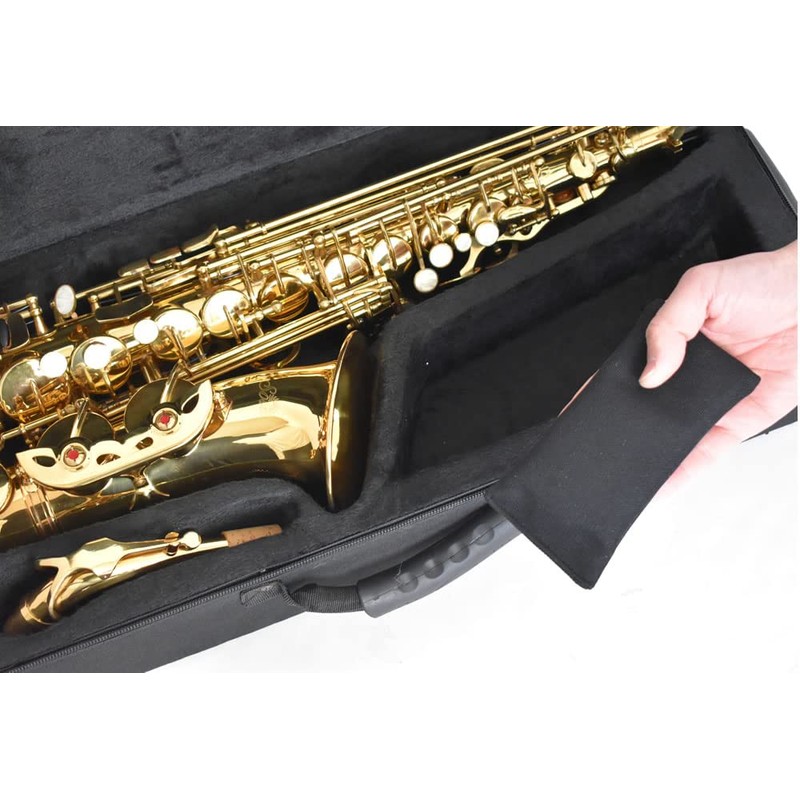 TOUGH-TX TX-SD01 TX-SD01 Moisture Conditioning Desiccant for Musical Instruments and