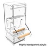 Automatic Parrot Feeder Prevent Spillage and Splashing Easy Installation Acrylic