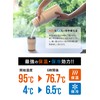 CBJAPAN SANTECO Tabletop Pot, 3.2 gal (1.2 L), Vacuum Insulated,