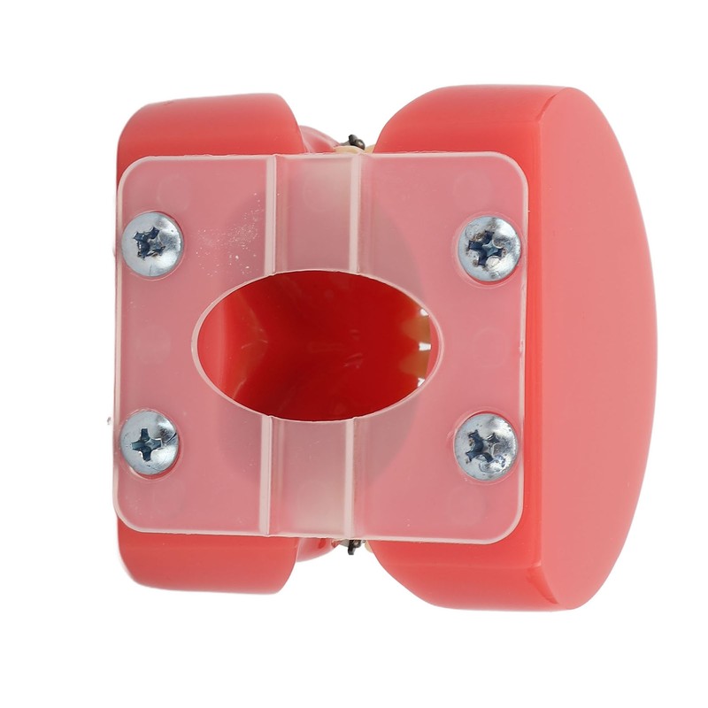 Professional Dental Demonstration Orthodontic Model with Metal Wires and Bracket