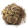 Govinda - Rose of Jericho Flower - Pack of 6